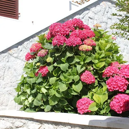 With A Parking Space شقة مالي لوشينغْ